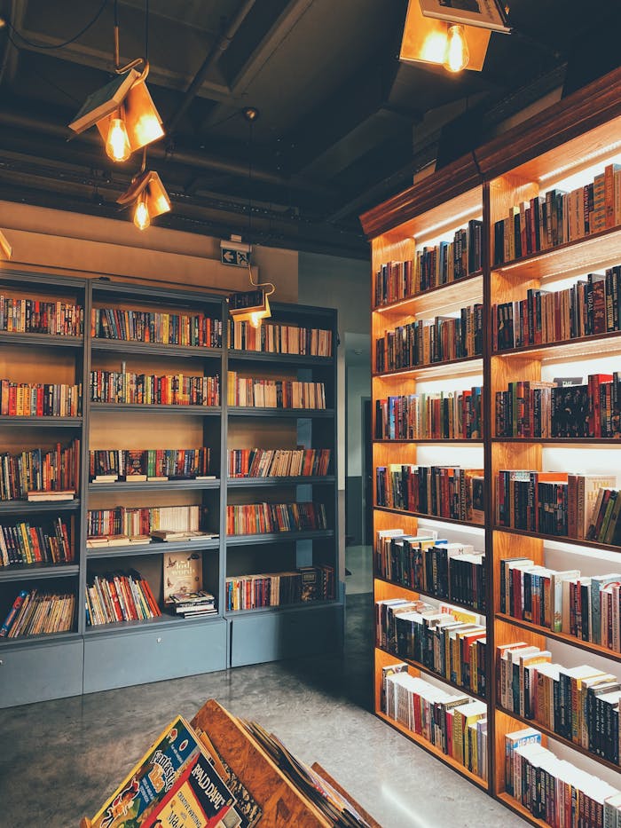 Warmly lit bookstore featuring modern bookshelves filled with a diverse selection of books.